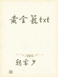 黄金笼txt