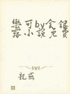 乐可by金银花露小说免费阅读