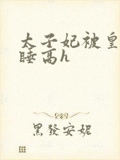 太子妃被皇上强睡高h