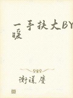 一手扶大BY泱暖封面