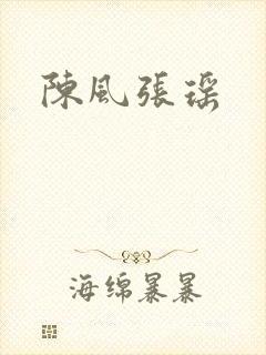陈风张瑶