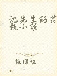 沈先生的花式调教小说封面