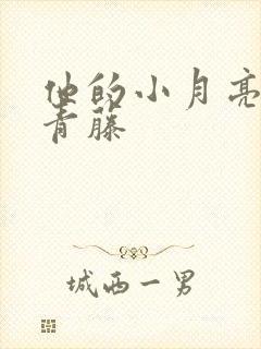 他的小月亮by青藤