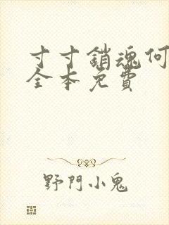 寸寸销魂何生祥全本免费封面
