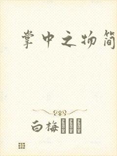 掌中之物简介