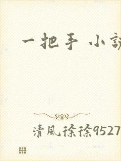 一把手 小说封面