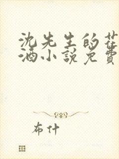 沈先生的花式调酒小说免费阅读