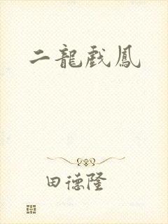 二龙戏凤