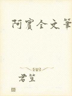 阿宾全文笔趣阁
