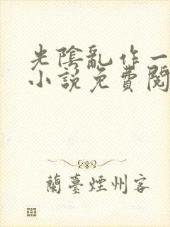 光阴乱作一团的小说免费阅读