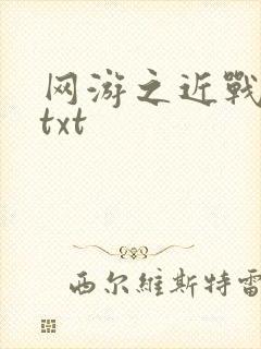 网游之近战法师txt