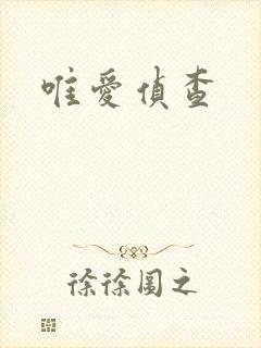 唯爱侦查