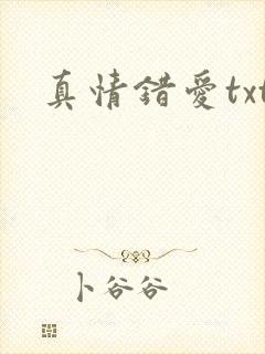 真情错爱txt