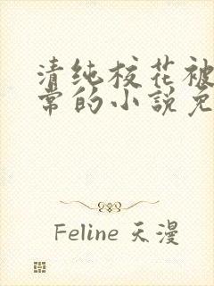 清纯校花被擒日常的小说免费阅读封面