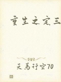 重生之定三国