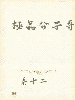 极品公子哥