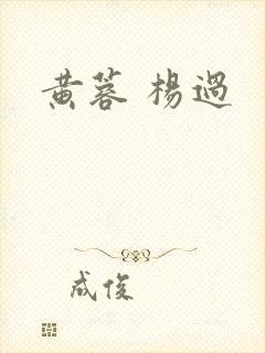 黄蓉 杨过封面
