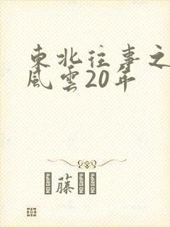 东北往事之黑道风云20年封面