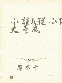 小说h从小做到大养成