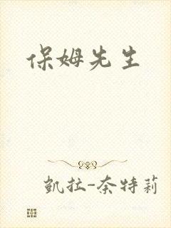 保姆先生