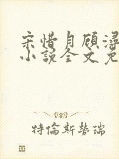 宋惜月顾浔渊的小说全文免费阅读