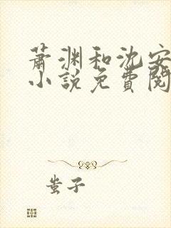 萧渊和沈安安的小说免费阅读