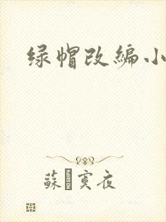 绿帽改编小说封面