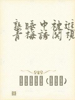 熟睡中被进了H青梅诱哄视频