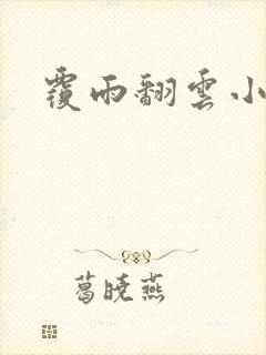覆雨翻云小说