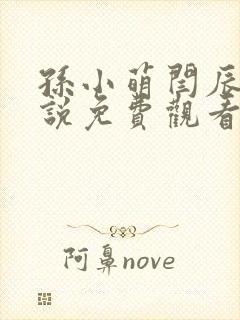 孙小萌闫辰的小说免费观看