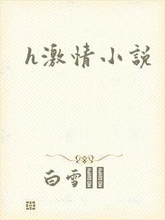 h激情小说