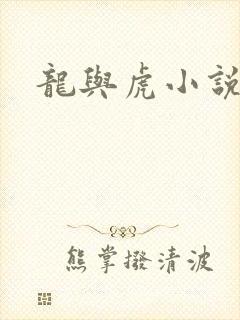 龙与虎小说封面