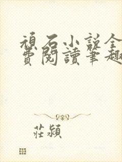顽石小说全文免费阅读笔趣阁封面