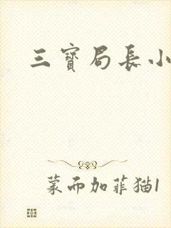 三宝局长小说封面