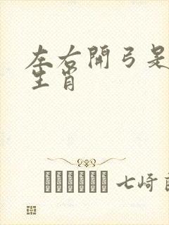 左右开弓是什么生肖