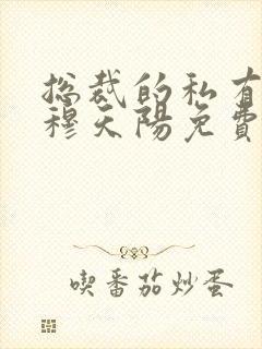 总裁的私有宝贝穆天阳免费封面