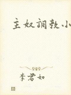 主奴调教小说封面