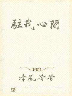 驻我心间