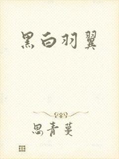 黑白羽翼