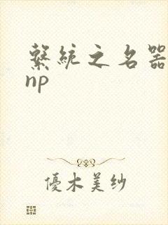 系统之名器攻略np