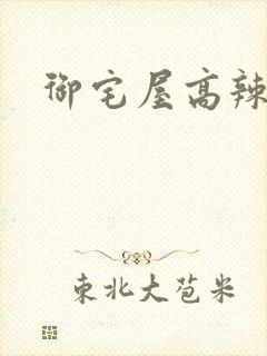 御宅屋高辣文