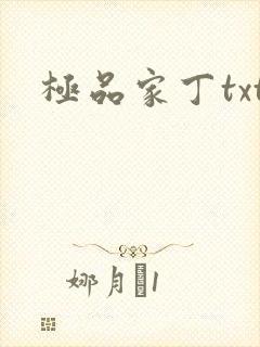 极品家丁txt