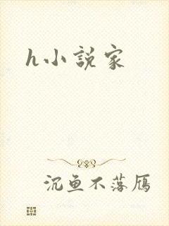 h小说家