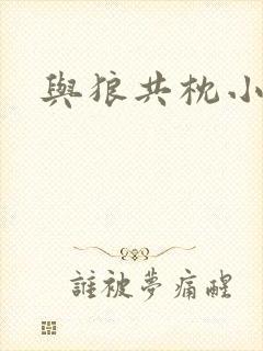 与狼共枕小说封面