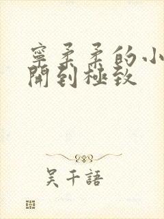 宁柔柔的小泬撑开到极致