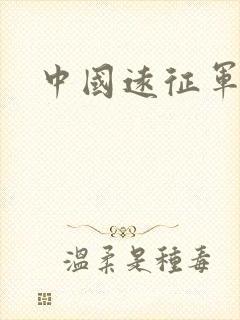中国远征军小说