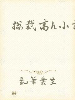 总裁高h小说封面