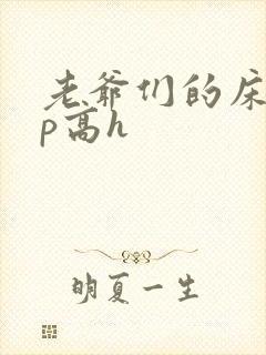 老爷们的床奴np高h