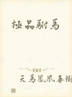 极品驸马