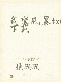 武装风暴txt下载